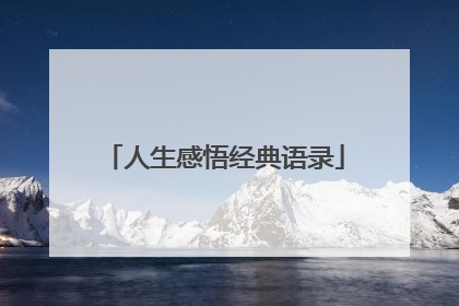 人生感悟经典语录