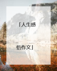 人生感悟作文