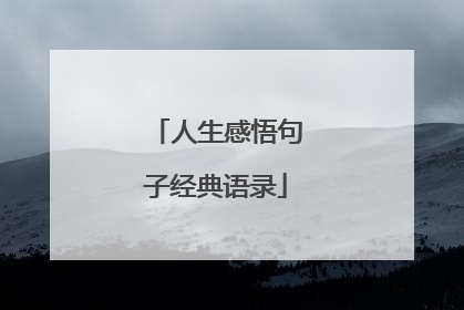 人生感悟句子经典语录