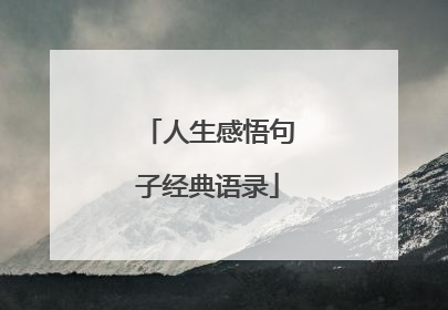 人生感悟句子经典语录