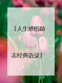 人生感悟励志经典语录