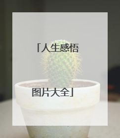 人生感悟图片大全