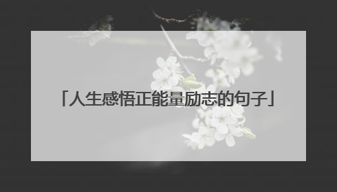 人生感悟正能量励志的句子