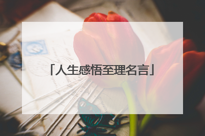 人生感悟至理名言