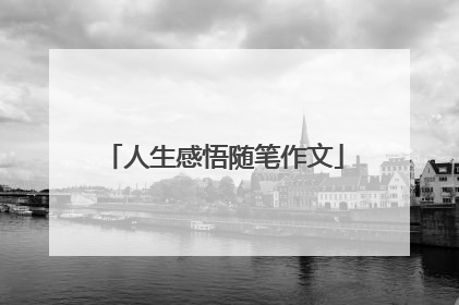 人生感悟随笔作文