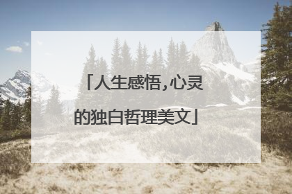 人生感悟,心灵的独白哲理美文