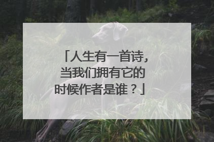 人生有一首诗, 当我们拥有它的时候作者是谁？