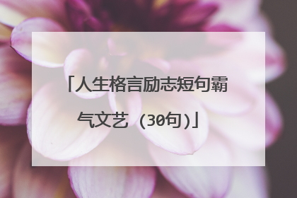 人生格言励志短句霸气文艺 (30句)