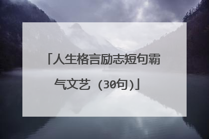 人生格言励志短句霸气文艺 (30句)