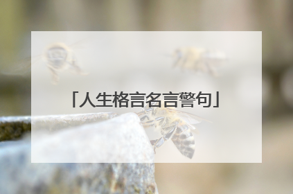 人生格言名言警句