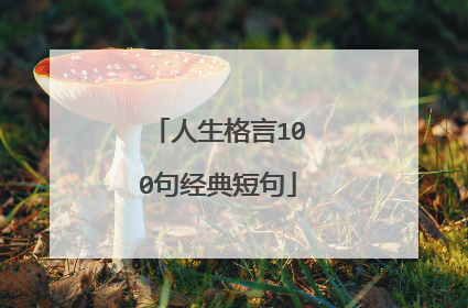 人生格言100句经典短句