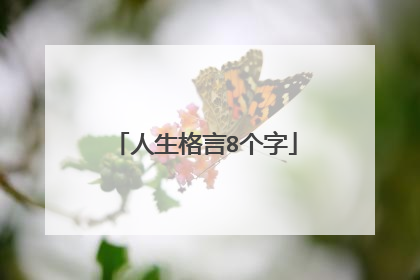 人生格言8个字