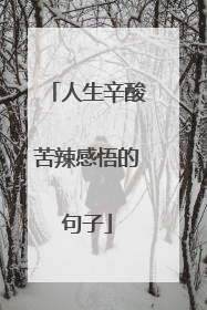 人生辛酸苦辣感悟的句子