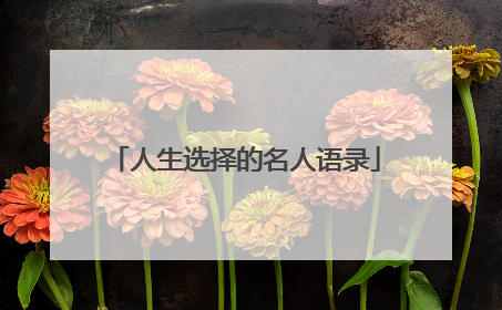 人生选择的名人语录