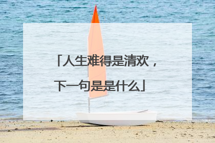 人生难得是清欢,下一句是是什么