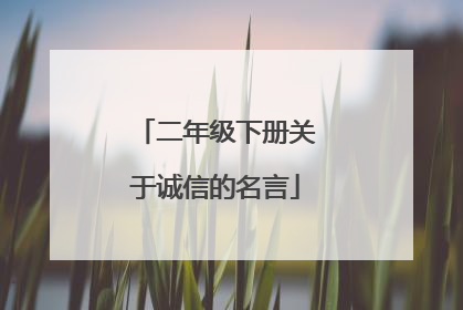 二年级下册关于诚信的名言