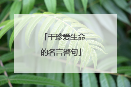 于珍爱生命的名言警句