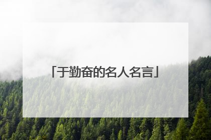 于勤奋的名人名言