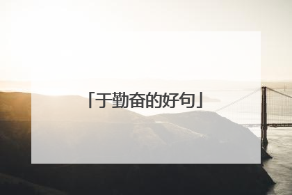 于勤奋的好句