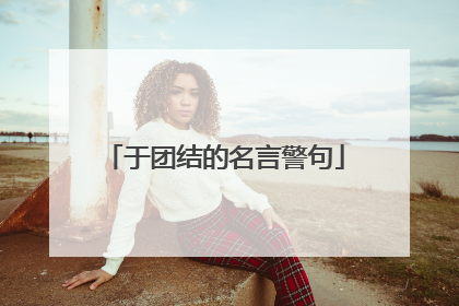 于团结的名言警句