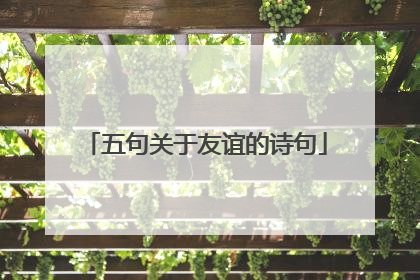 五句关于友谊的诗句