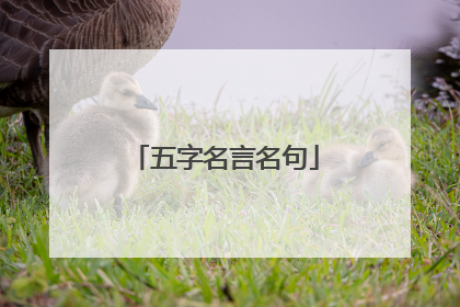 五字名言名句