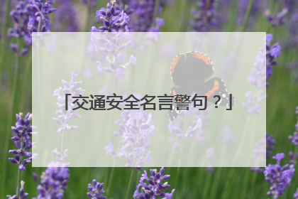 交通安全名言警句?