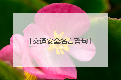 交通安全名言警句