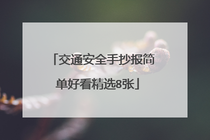 交通安全手抄报简单好看精选8张