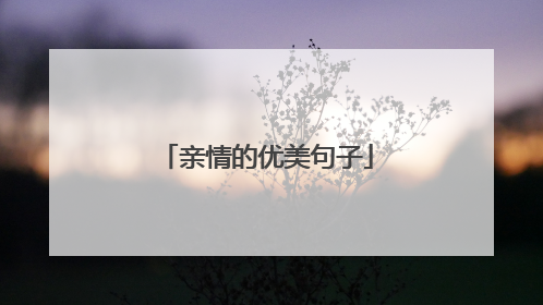 亲情的优美句子