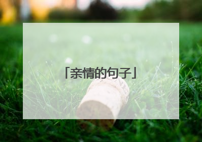 亲情的句子