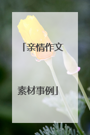 亲情作文素材事例