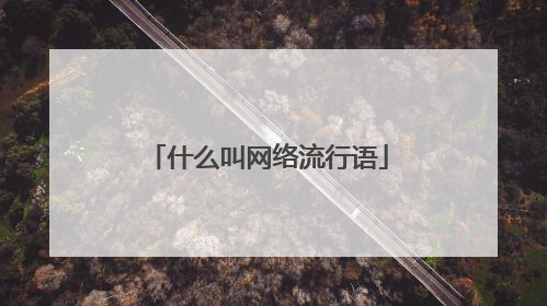 什么叫网络流行语