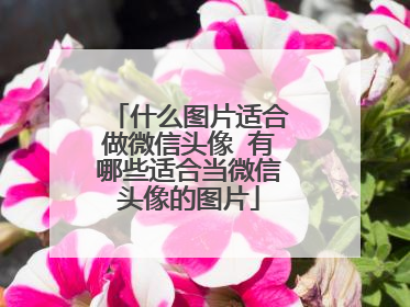 什么图片适合做微信头像 有哪些适合当微信头像的图片
