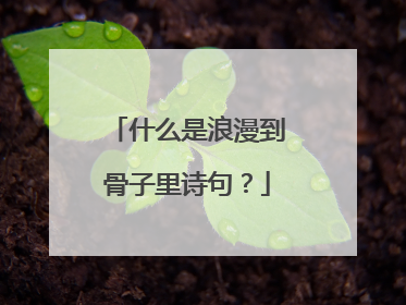 什么是浪漫到骨子里诗句?