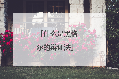 什么是黑格尔的辩证法
