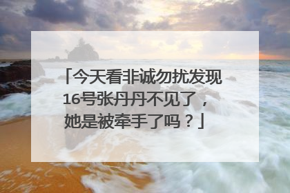 今天看非诚勿扰发现16号张丹丹不见了，她是被牵手了吗？