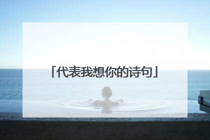 代表我想你的诗句