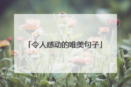 令人感动的唯美句子