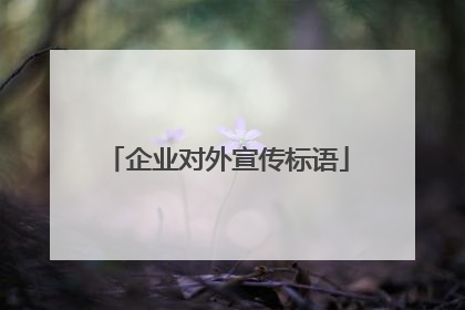 企业对外宣传标语