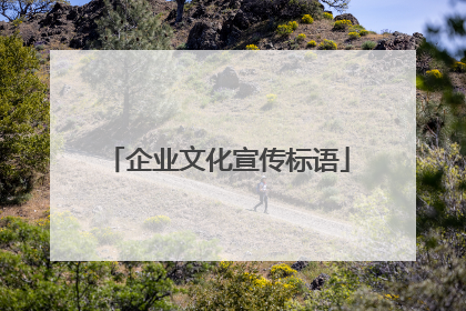企业文化宣传标语