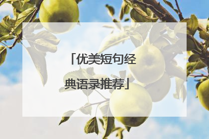优美短句经典语录推荐