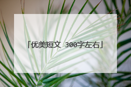 优美短文 300字左右