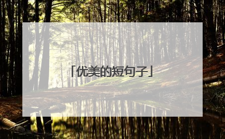 优美的短句子