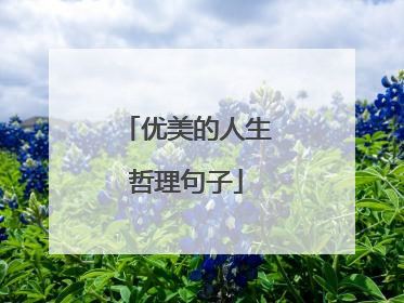 优美的人生哲理句子