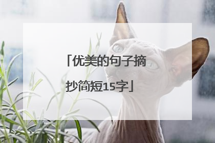 优美的句子摘抄简短15字