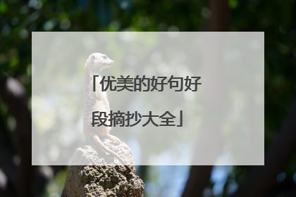 优美的好句好段摘抄大全