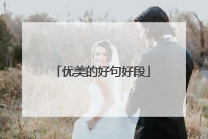 优美的好句好段