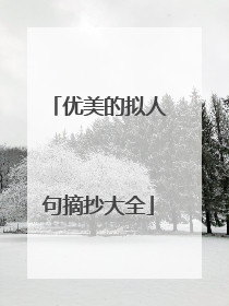 优美的拟人句摘抄大全