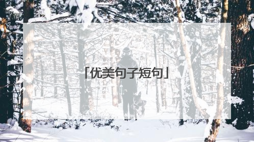 优美句子短句